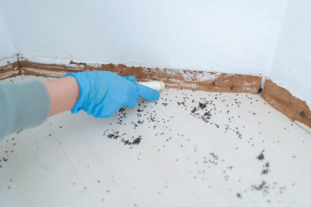 Best Pest Exclusion Services  in Hackensack, NJ